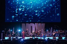 「CRAZY KEN BAND ＊NOW at 日本武道館 Presented by NISHIHARA SHOKAI」の様子。（撮影：小河俊哉、岡田有貴）