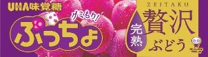 「ぷっちょスティック 贅沢ぶどう」ビジュアル