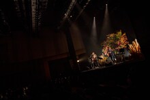 真心ブラザーズ「Cheer up! 003」の様子。（撮影：shibata eri）