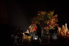 真心ブラザーズ（撮影：shibata eri）