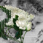 Ryohuがくるり「ばらの花」サンプリングした新曲配信、LOVE PSYCHEDELICOやFLYING KIDSも