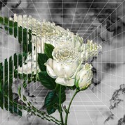 Ryohuがくるり「ばらの花」サンプリングした新曲配信、LOVE PSYCHEDELICOやFLYING KIDSも