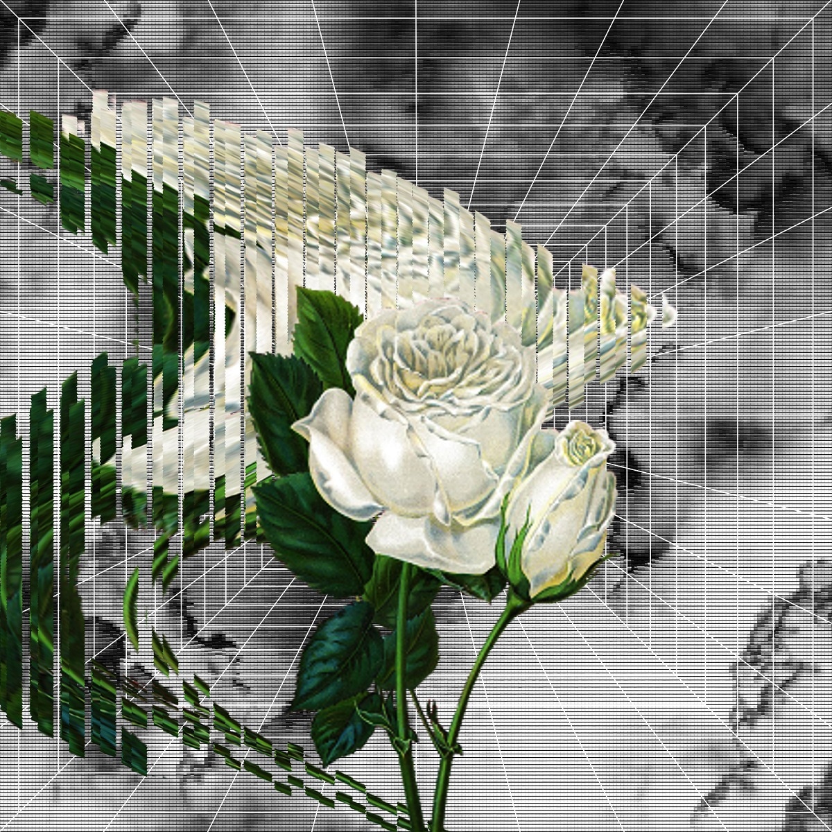Ryohu「Flower」配信ジャケット