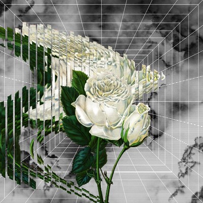 Ryohu「Flower」配信ジャケット