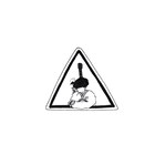 泣き虫が新曲「ネモネア。」配信、メディア初露出も決定