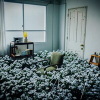 泣き虫「ネモネア。」配信ジャケット