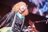 甘福氏暗（撮影：関上貴也）