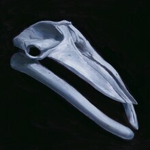 Mississippi Khaki Hair「From Nightfall till Dawn」ジャケット