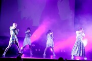 Maison book girl