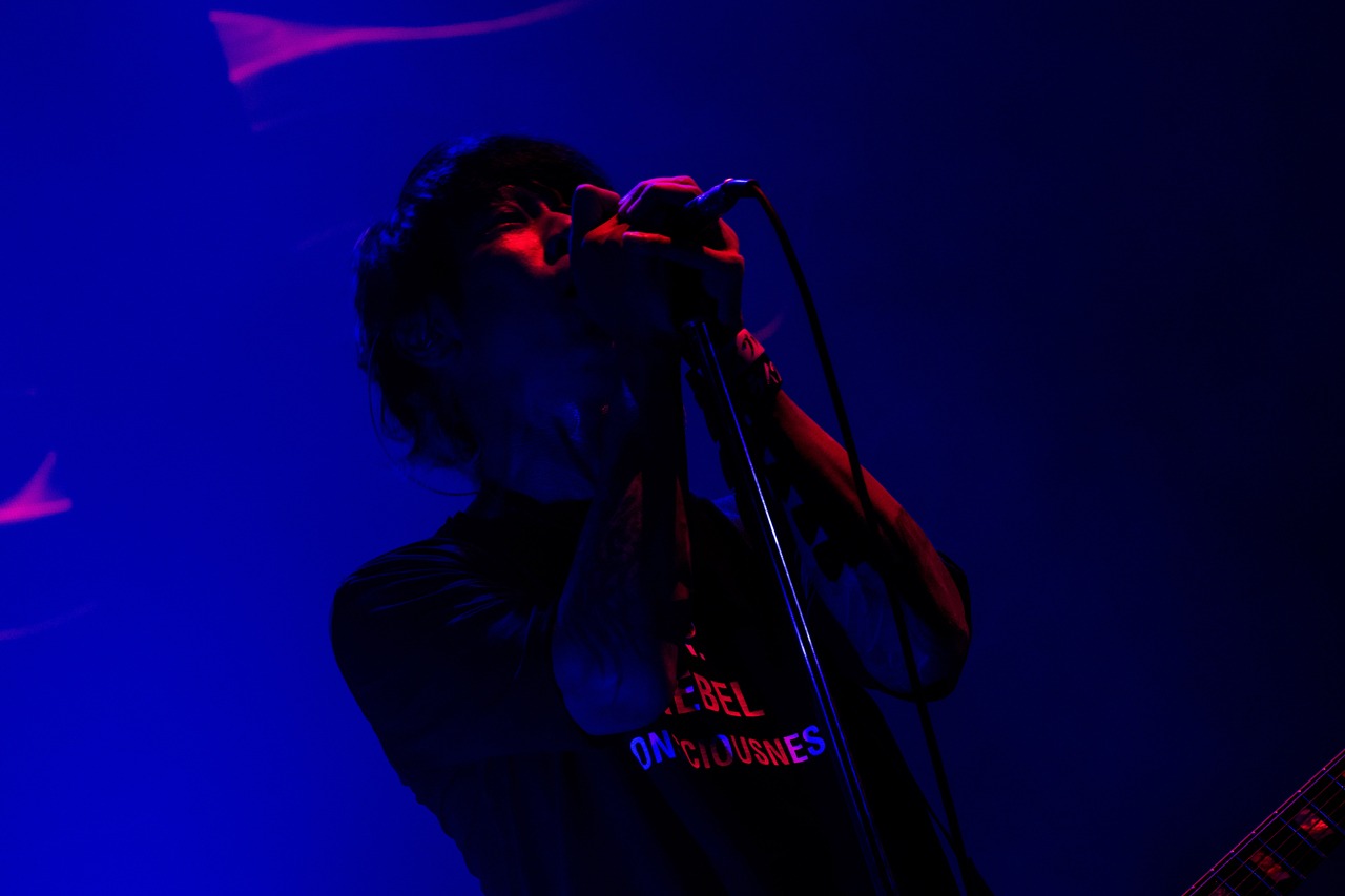 細美武士（ELLEGARDEN / the HIATUS / MONOEYES）