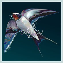 SWALLOW「SWALLOW」配信ジャケット