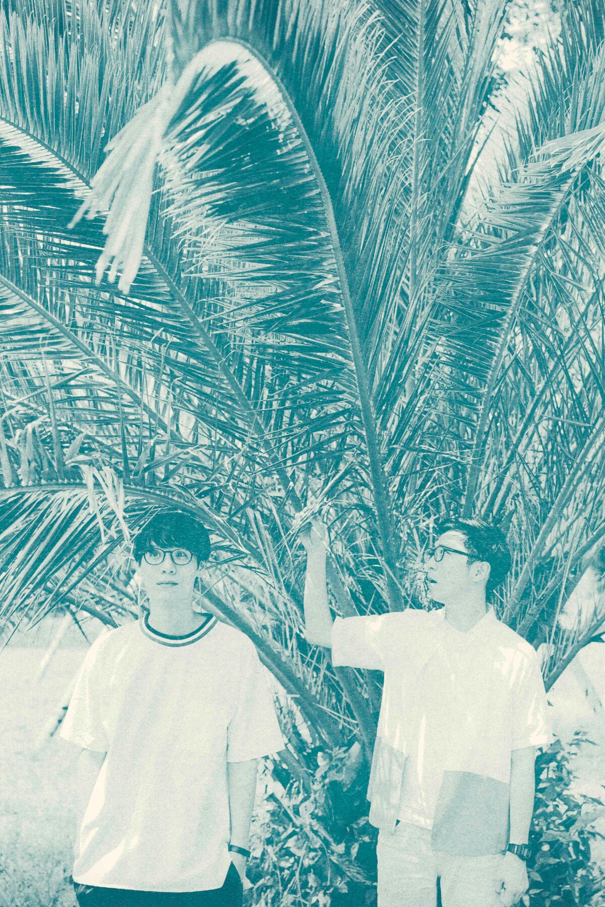 Turntable Films、アルバム「Herbier」レコ発ライブを東京と京都で開催