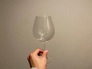 初めて手に入れたワイングラス。こちらはSHOKICHIさんにオススメされたブランドのグラスを買いました。少し高いものからリーズナブルなものまで、いろいろ飲み比べしています。