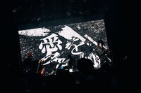 「PELICAN FANCLUB DX ONEMAN LIVE "NEW TYPE"」の様子。（撮影：伊藤惇）