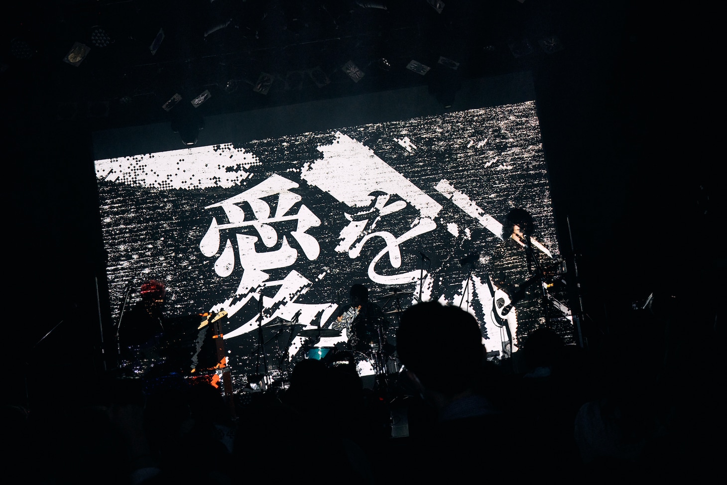 「PELICAN FANCLUB DX ONEMAN LIVE "NEW TYPE"」の様子。（撮影：伊藤惇）
