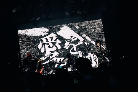 「PELICAN FANCLUB DX ONEMAN LIVE "NEW TYPE"」の様子。（撮影：伊藤惇）