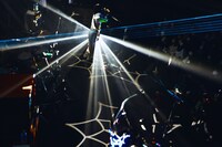 「PELICAN FANCLUB DX ONEMAN LIVE "NEW TYPE"」の様子。（撮影：伊藤惇）