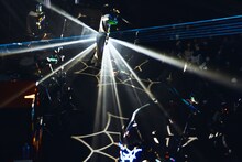 「PELICAN FANCLUB DX ONEMAN LIVE "NEW TYPE"」の様子。（撮影：伊藤惇）