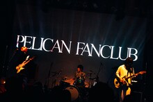 「PELICAN FANCLUB DX ONEMAN LIVE "NEW TYPE"」の様子。（撮影：伊藤惇）