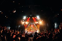 「PELICAN FANCLUB DX ONEMAN LIVE "NEW TYPE"」の様子。（撮影：伊藤惇）