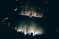 「PELICAN FANCLUB DX ONEMAN LIVE "NEW TYPE"」の様子。（撮影：伊藤惇）