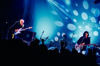 「PELICAN FANCLUB DX ONEMAN LIVE "NEW TYPE"」の様子。（撮影：伊藤惇）