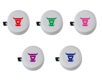 メンバーカラー別「まメジャー」