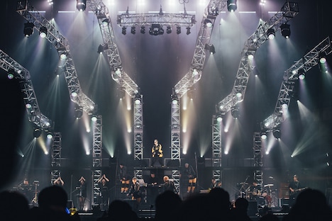 清水翔太の日本武道館ワンマン(13日公演)の様子。(photo by cherry chill will.)