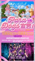 「ParaDogs宣言！Vol.0」東京公演の告知画像。