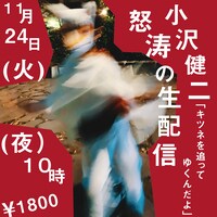 小沢健二「キツネを追ってゆくんだよ」告知ビジュアル