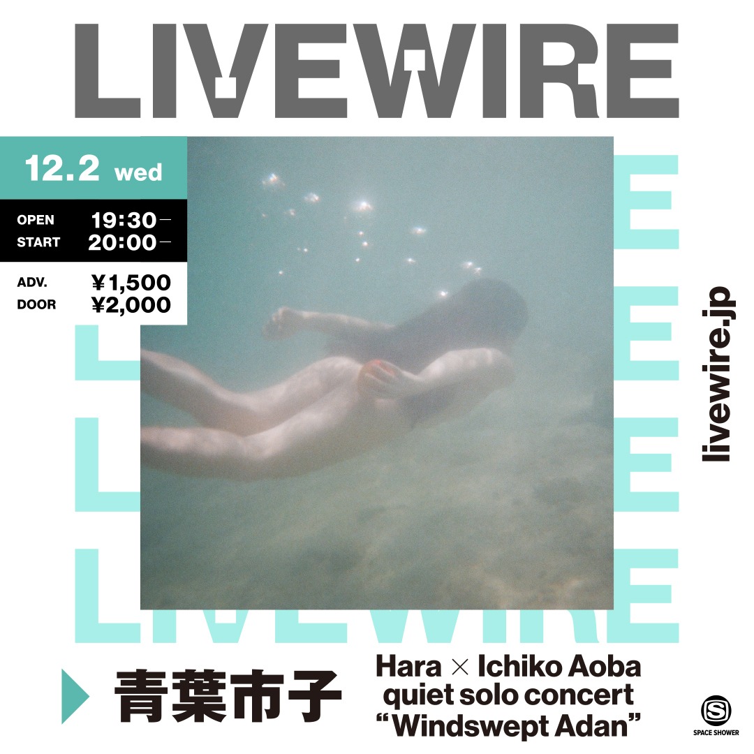 「Hara X Ichiko Aoba quiet solo concert "Windswept Adan"」告知ビジュアル