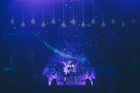 麻倉もも「LAWSON presents 麻倉もも Live 2020 “Agapanthus”」の様子。（撮影：大庭元）