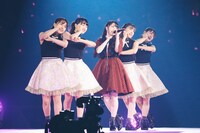 麻倉もも「LAWSON presents 麻倉もも Live 2020 “Agapanthus”」の様子。（撮影：大庭元）