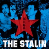 THE STALIN「豚に真珠~LIVE at 横浜国立大学1980.11~」ジャケット