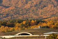 遠方から望む頭大仏。