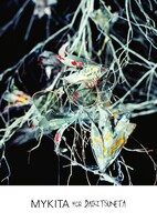 「MYKITA for Daiki Tsuneta」ビジュアル