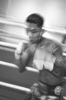 Mr.KENSHI「DANPACHI」より。