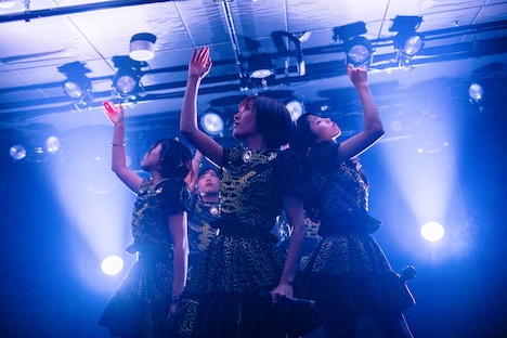 空想と妄想とキミの恋した世界