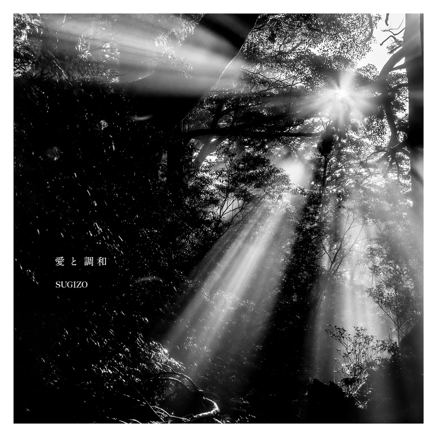 SUGIZO「愛と調和」通常盤ジャケット