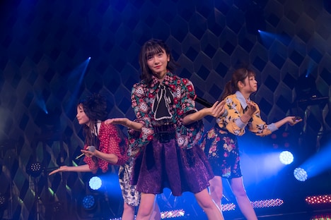 Task have Fun「11.22 Zeppでライブだよ」の様子。（写真提供：Velvet management）