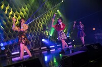 Task have Fun「11.22 Zeppでライブだよ」の様子。（写真提供：Velvet management）