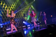 Task have Fun「11.22 Zeppでライブだよ」の様子。（写真提供：Velvet management）
