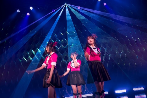 Task have Fun「11.22 Zeppでライブだよ」の様子。（写真提供：Velvet management）