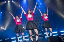 Task have Fun「11.22 Zeppでライブだよ」の様子。（写真提供：Velvet management）