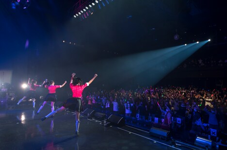 Task have Fun「11.22 Zeppでライブだよ」の様子。（写真提供：Velvet management）