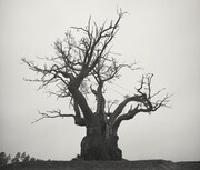 SEKAI NO OWARI「SEKAI NO OWARI 2010-2019」ジャケット