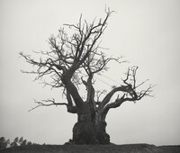 SEKAI NO OWARI「SEKAI NO OWARI 2010-2019」ジャケット