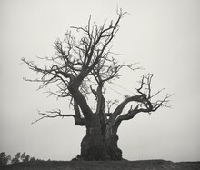 SEKAI NO OWARI「SEKAI NO OWARI 2010-2019」ジャケット