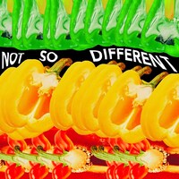 AI「Not So Different」配信ジャケット