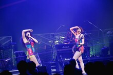 ベッド・イン（撮影：にしゆきみ）